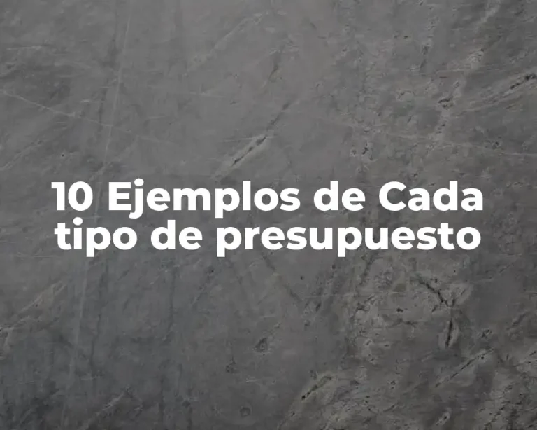 10 Ejemplos de Cada tipo de presupuesto