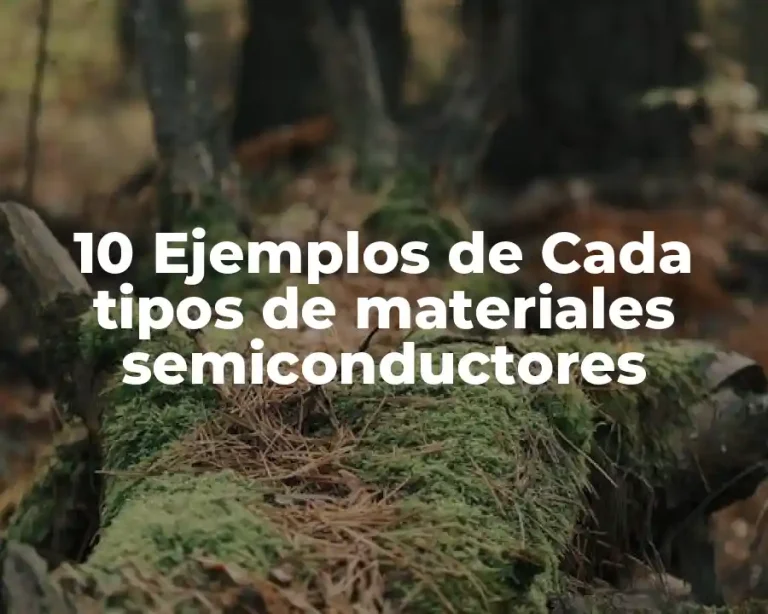 10 Ejemplos de Cada tipos de materiales semiconductores