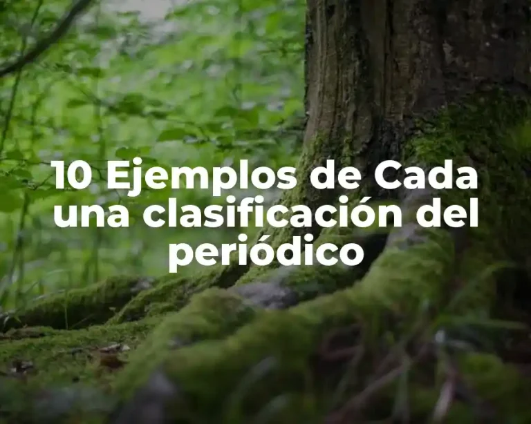 10 Ejemplos de Cada una clasificación del periódico