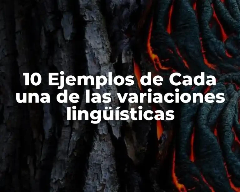 10 Ejemplos de Cada una de las variaciones lingüísticas