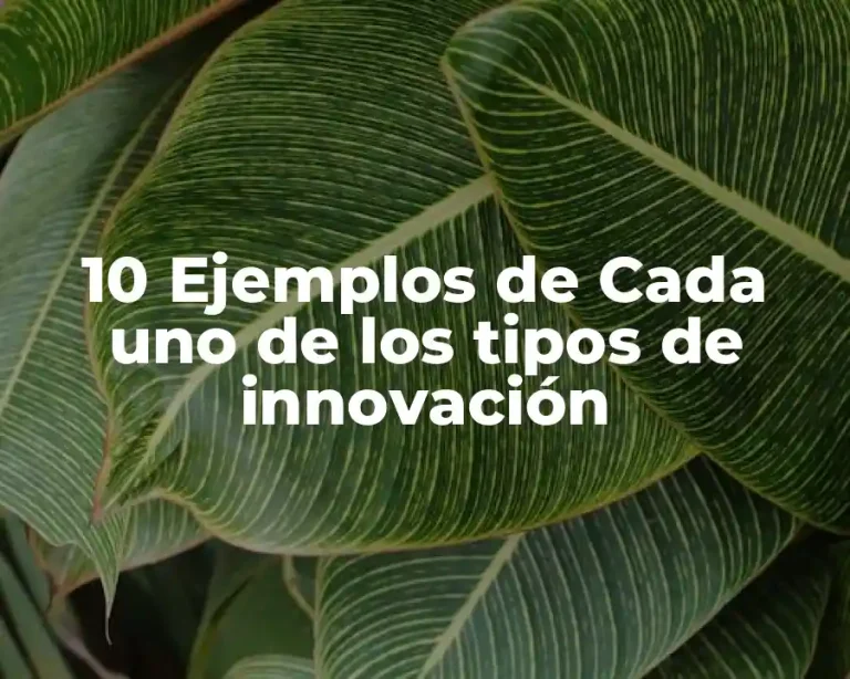10 Ejemplos de Cada uno de los tipos de innovación