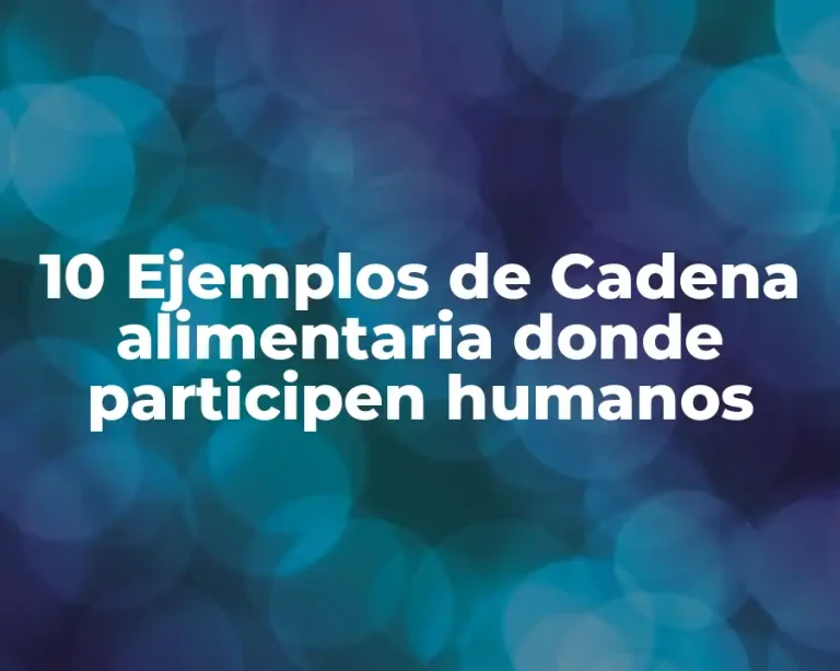 10 Ejemplos de Cadena alimentaria donde participen humanos