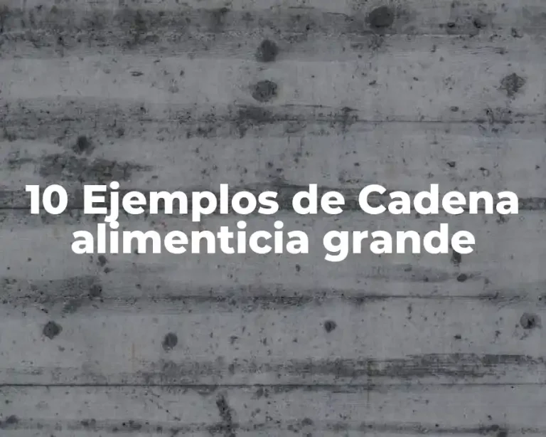 10 Ejemplos de Cadena alimenticia grande