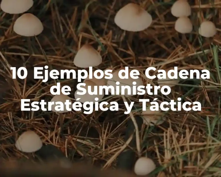 10 Ejemplos de Cadena de Suministro Estratégica y Táctica