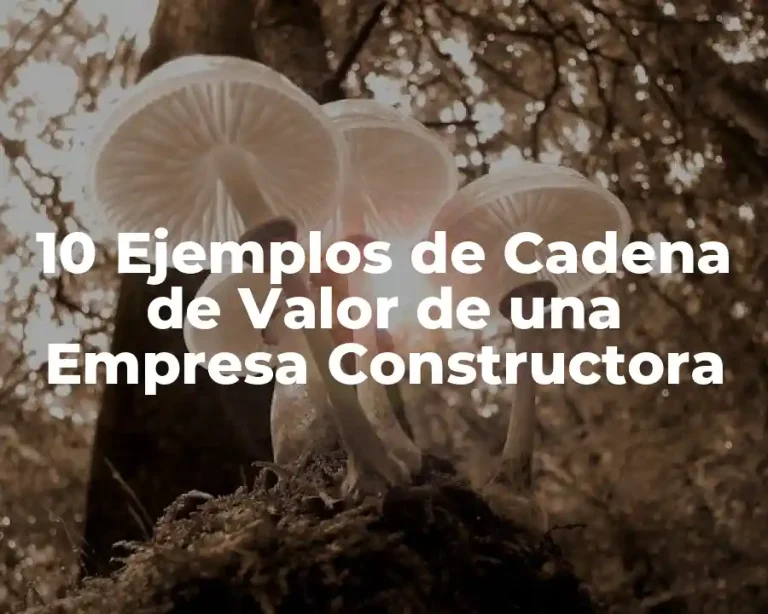 10 Ejemplos de Cadena de Valor de una Empresa Constructora
