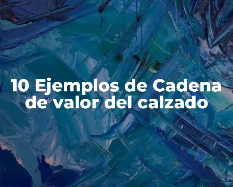 10 Ejemplos de Cadena de valor del calzado