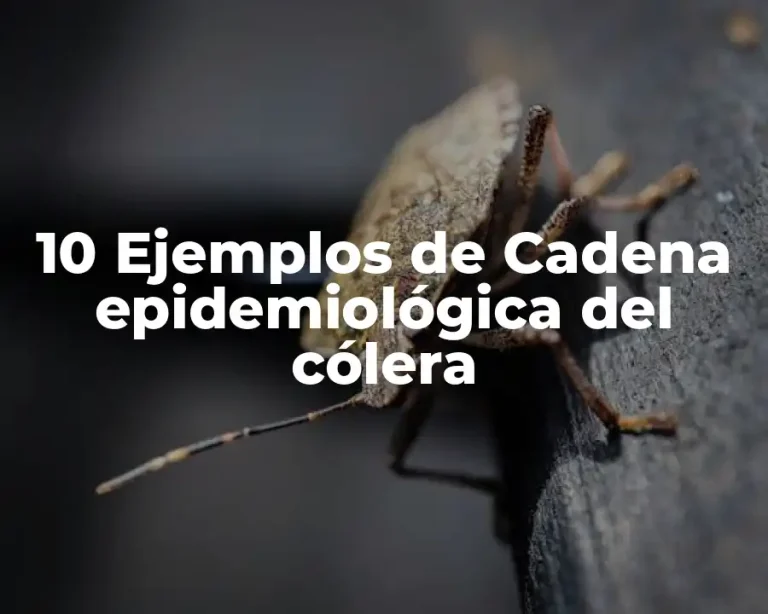 10 Ejemplos de Cadena epidemiológica del cólera
