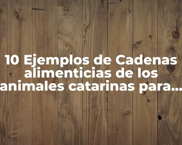 10 Ejemplos de Cadenas alimenticias de los animales catarinas para colorear