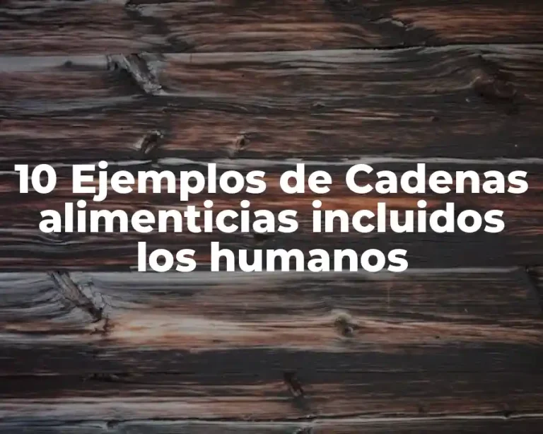 10 Ejemplos de Cadenas alimenticias incluidos los humanos