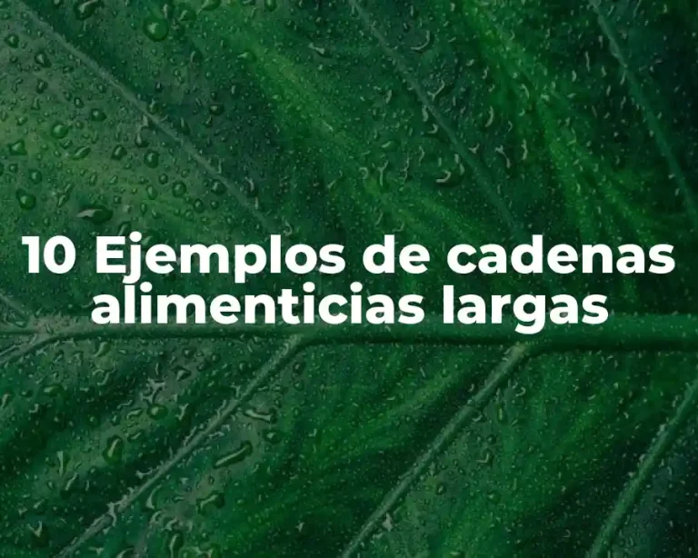 10 Ejemplos de cadenas alimenticias largas