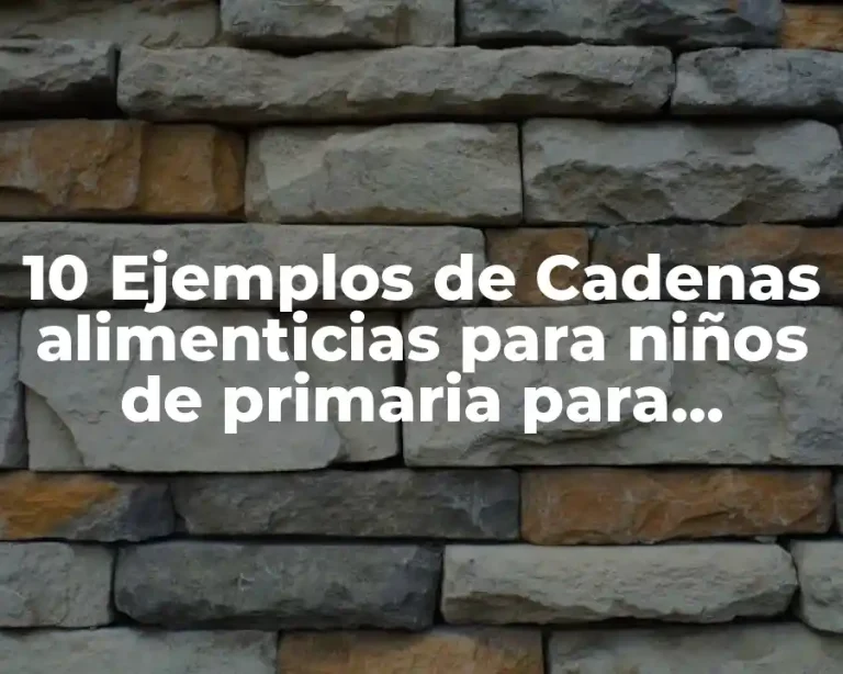10 Ejemplos de Cadenas alimenticias para niños de primaria para colorear