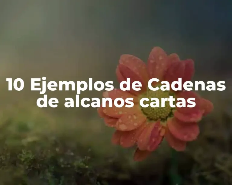 10 Ejemplos de Cadenas de alcanos cartas