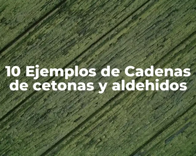 10 Ejemplos de Cadenas de cetonas y aldehidos