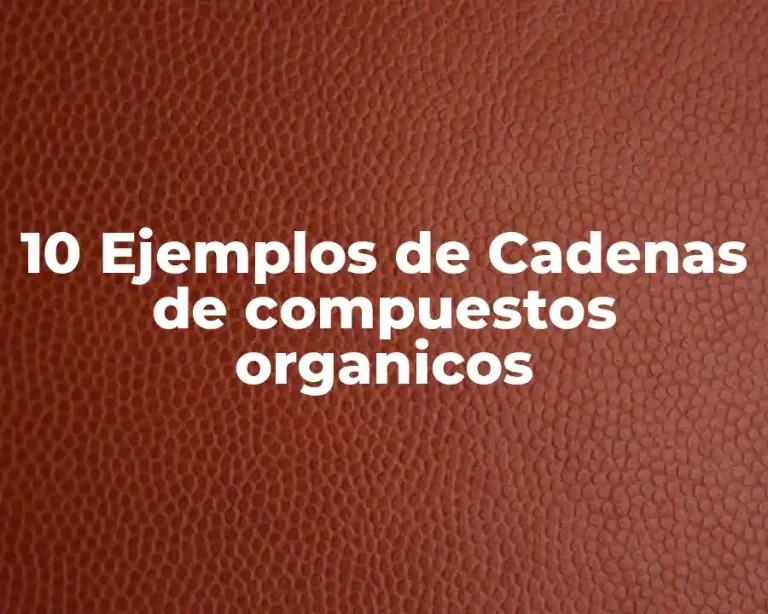 10 Ejemplos de Cadenas de compuestos organicos
