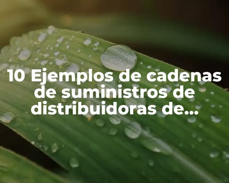 10 Ejemplos de cadenas de suministros de distribuidoras de muebles