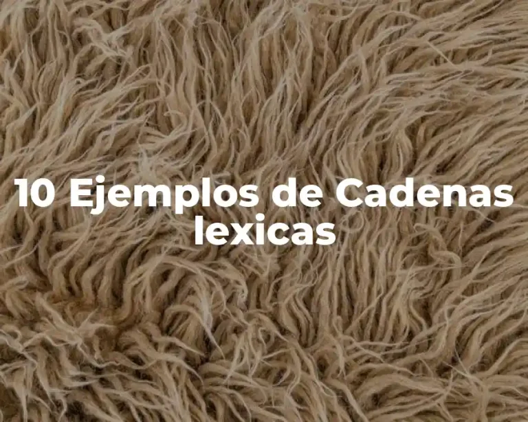10 Ejemplos de Cadenas lexicas