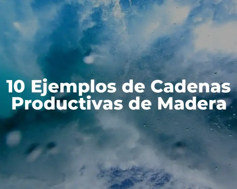 10 Ejemplos de Cadenas Productivas de Madera