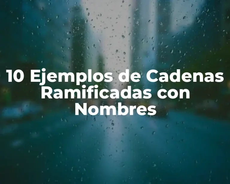 10 Ejemplos de Cadenas Ramificadas con Nombres