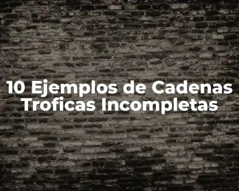 10 Ejemplos de Cadenas Troficas Incompletas