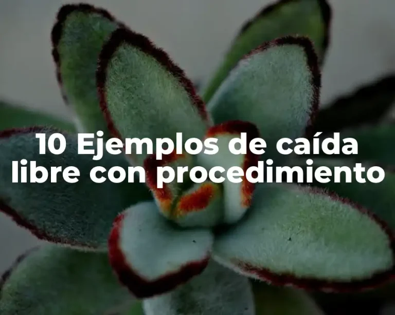 10 Ejemplos de caída libre con procedimiento