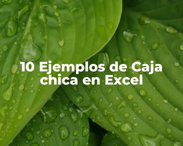 10 Ejemplos de Caja chica en Excel
