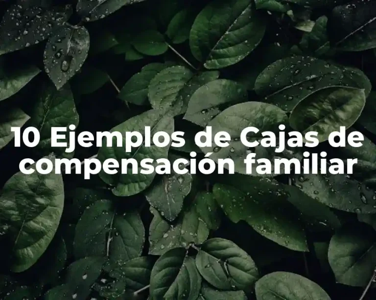 10 Ejemplos de Cajas de compensación familiar
