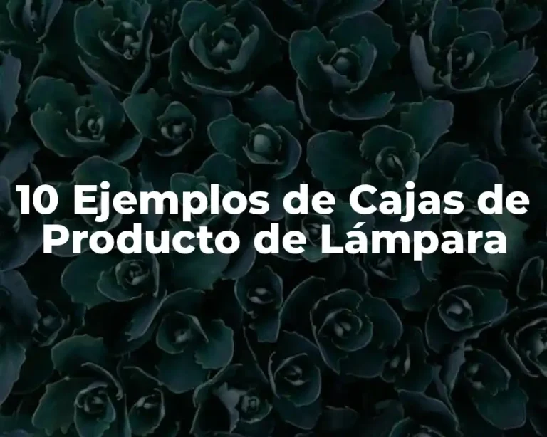 10 Ejemplos de Cajas de Producto de Lámpara