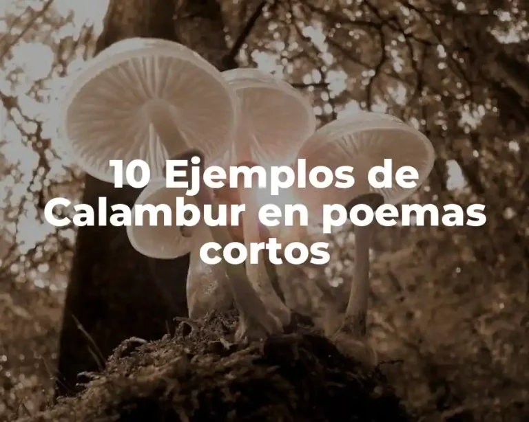 10 Ejemplos de Calambur en poemas cortos
