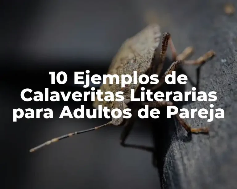 10 Ejemplos de Calaveritas Literarias para Adultos de Pareja