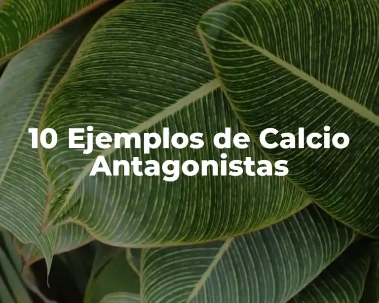 10 Ejemplos de Calcio Antagonistas