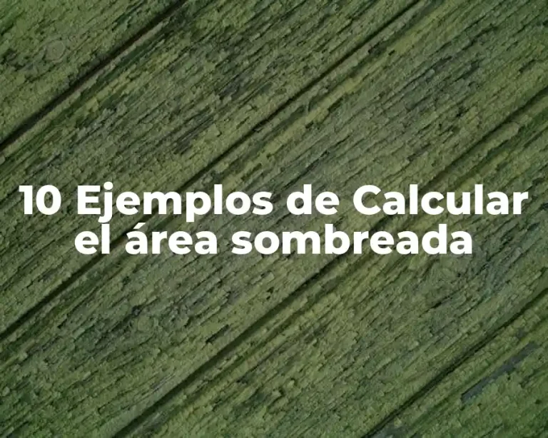 10 Ejemplos de Calcular el área sombreada