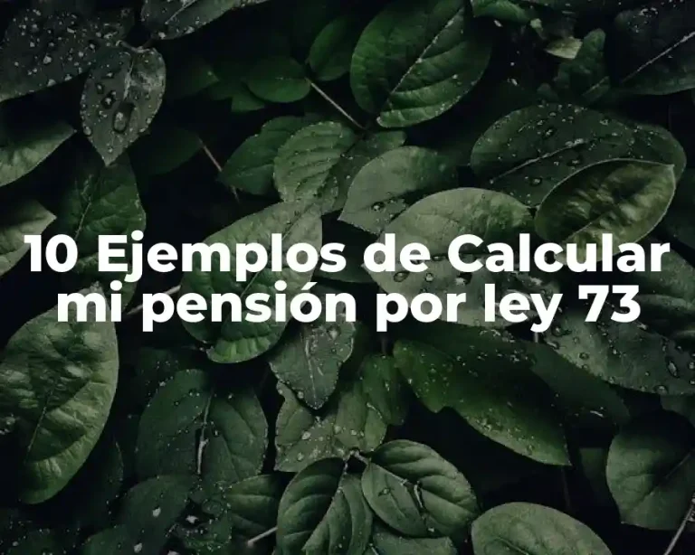 10 Ejemplos de Calcular mi pensión por ley 73