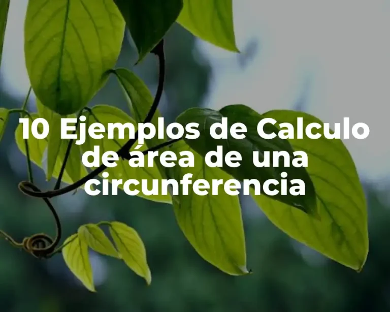 10 Ejemplos de Calculo de área de una circunferencia