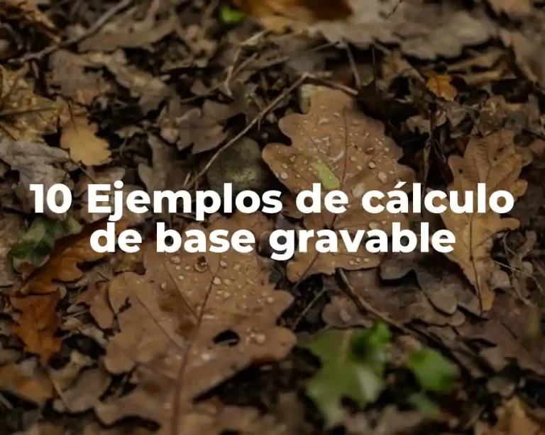 10 Ejemplos de cálculo de base gravable