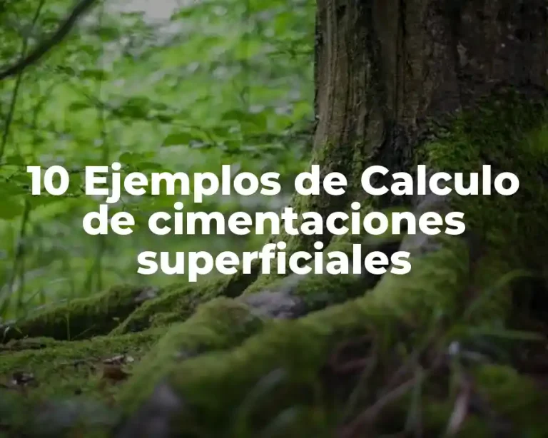 10 Ejemplos de Calculo de cimentaciones superficiales