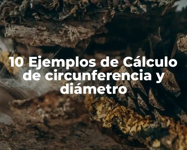 10 Ejemplos de Cálculo de circunferencia y diámetro