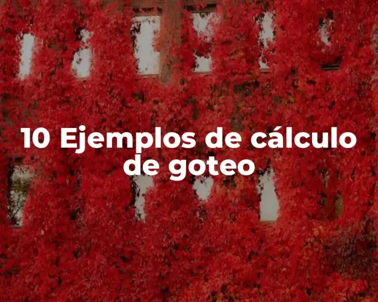 10 Ejemplos de cálculo de goteo