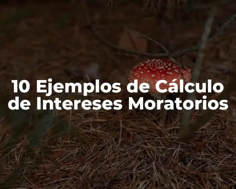 10 Ejemplos de Cálculo de Intereses Moratorios