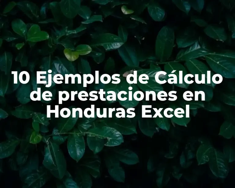 10 Ejemplos de Cálculo de prestaciones en Honduras Excel