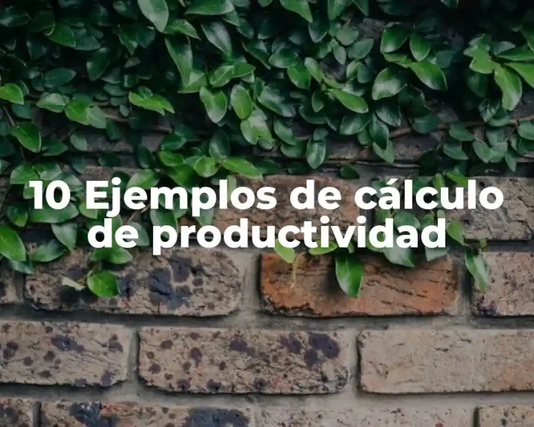 10 Ejemplos de cálculo de productividad