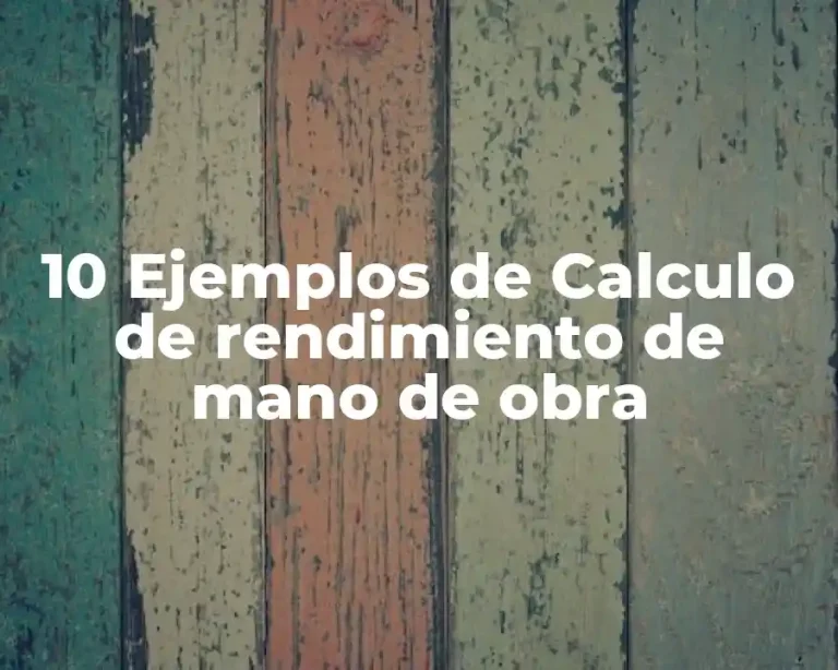 10 Ejemplos de Calculo de rendimiento de mano de obra