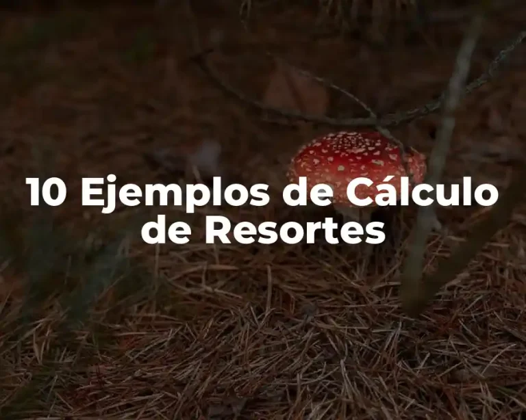 10 Ejemplos de Cálculo de Resortes
