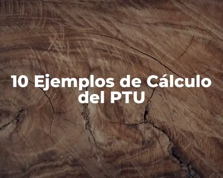 10 Ejemplos de Cálculo del PTU