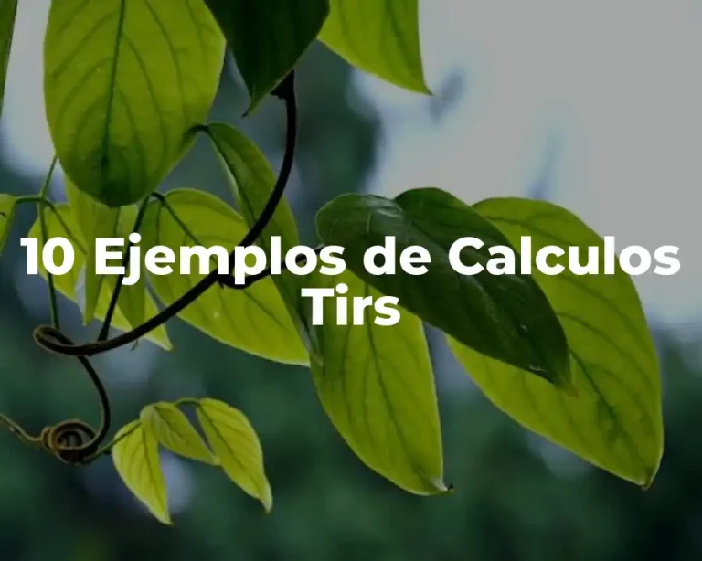 10 Ejemplos de Calculos Tirs