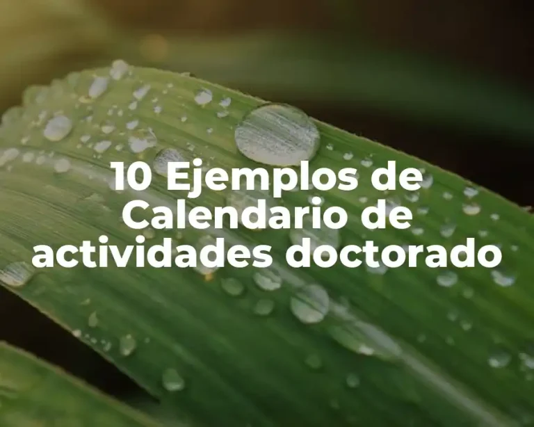 10 Ejemplos de Calendario de actividades doctorado