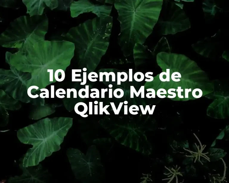 10 Ejemplos de Calendario Maestro QlikView