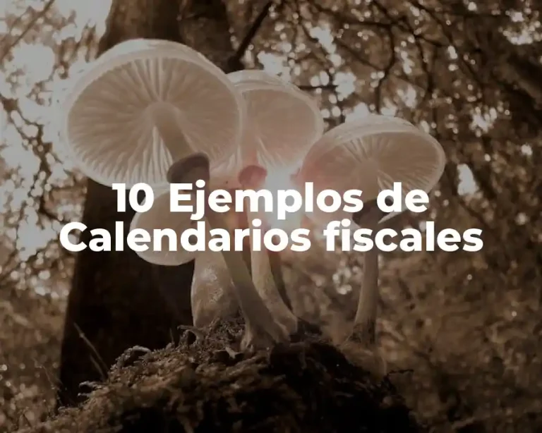 10 Ejemplos de Calendarios fiscales