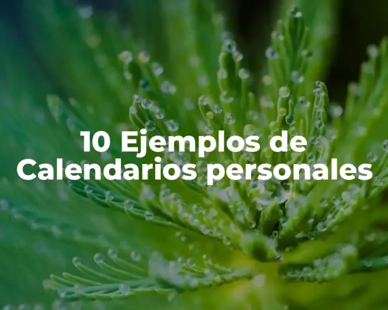 10 Ejemplos de Calendarios personales