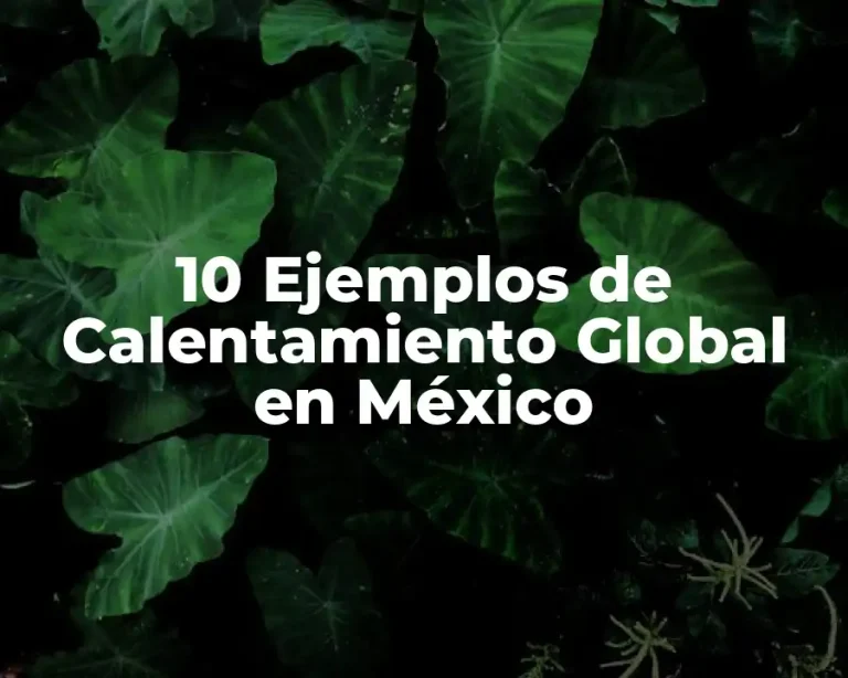 10 Ejemplos de Calentamiento Global en México