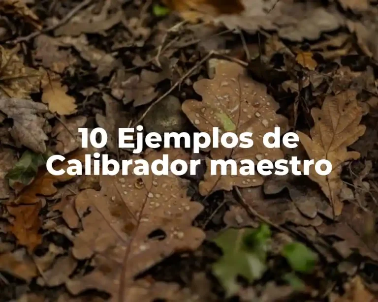 10 Ejemplos de Calibrador maestro